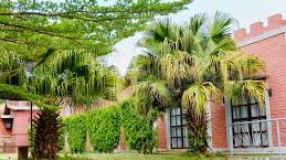 Chat'O hotel » Madagascar » Matoke Tours